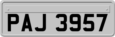 PAJ3957