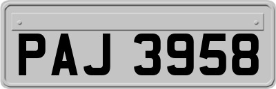PAJ3958