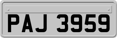 PAJ3959