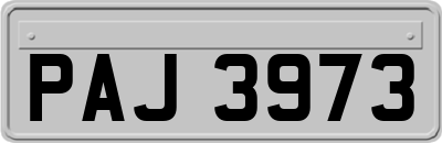 PAJ3973