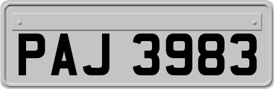 PAJ3983