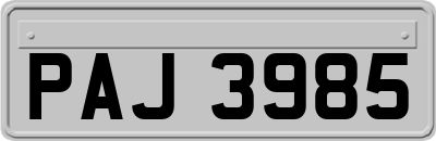 PAJ3985