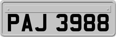 PAJ3988