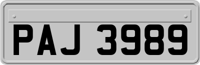 PAJ3989
