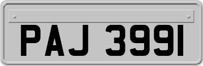 PAJ3991