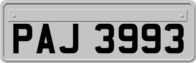 PAJ3993