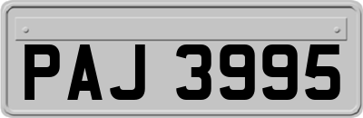 PAJ3995
