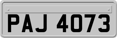 PAJ4073