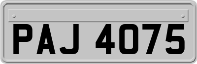 PAJ4075