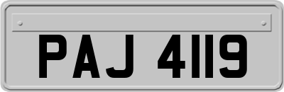 PAJ4119