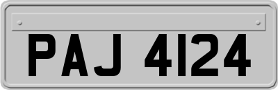 PAJ4124