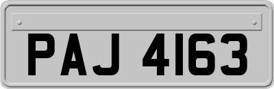 PAJ4163