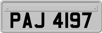 PAJ4197