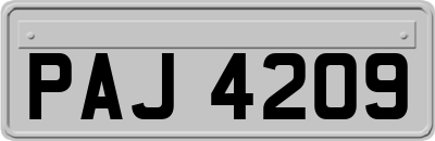 PAJ4209
