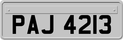 PAJ4213