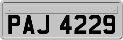 PAJ4229