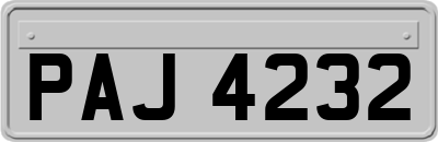PAJ4232