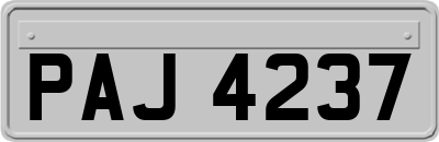 PAJ4237