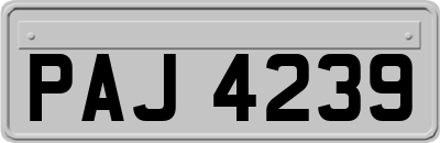 PAJ4239
