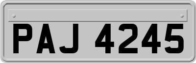 PAJ4245