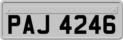 PAJ4246
