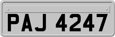 PAJ4247