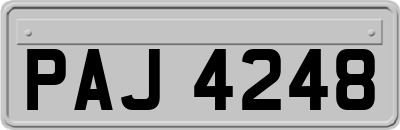PAJ4248
