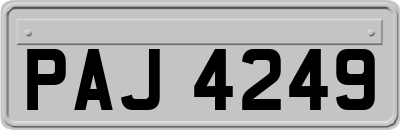 PAJ4249