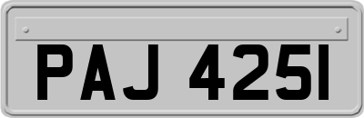PAJ4251