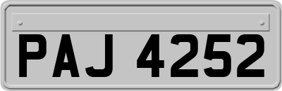 PAJ4252