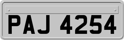 PAJ4254