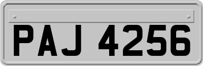 PAJ4256