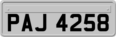 PAJ4258