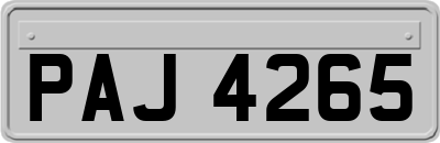 PAJ4265
