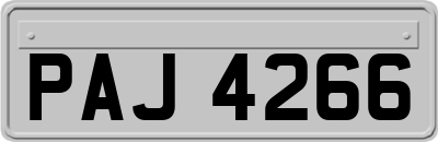 PAJ4266