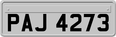 PAJ4273