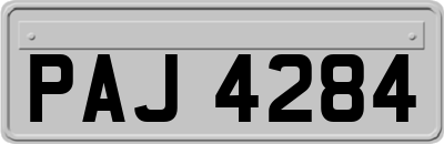 PAJ4284
