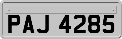 PAJ4285
