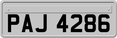 PAJ4286