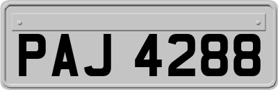 PAJ4288