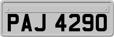 PAJ4290