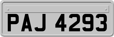 PAJ4293