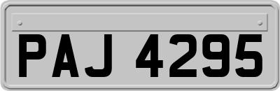PAJ4295
