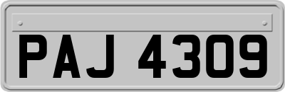 PAJ4309