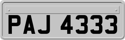 PAJ4333