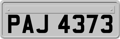 PAJ4373