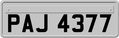 PAJ4377