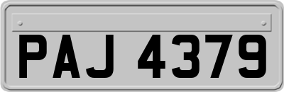 PAJ4379