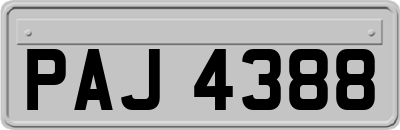 PAJ4388