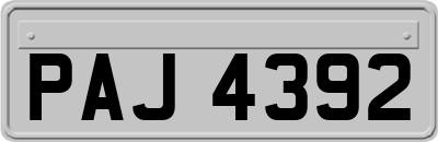 PAJ4392